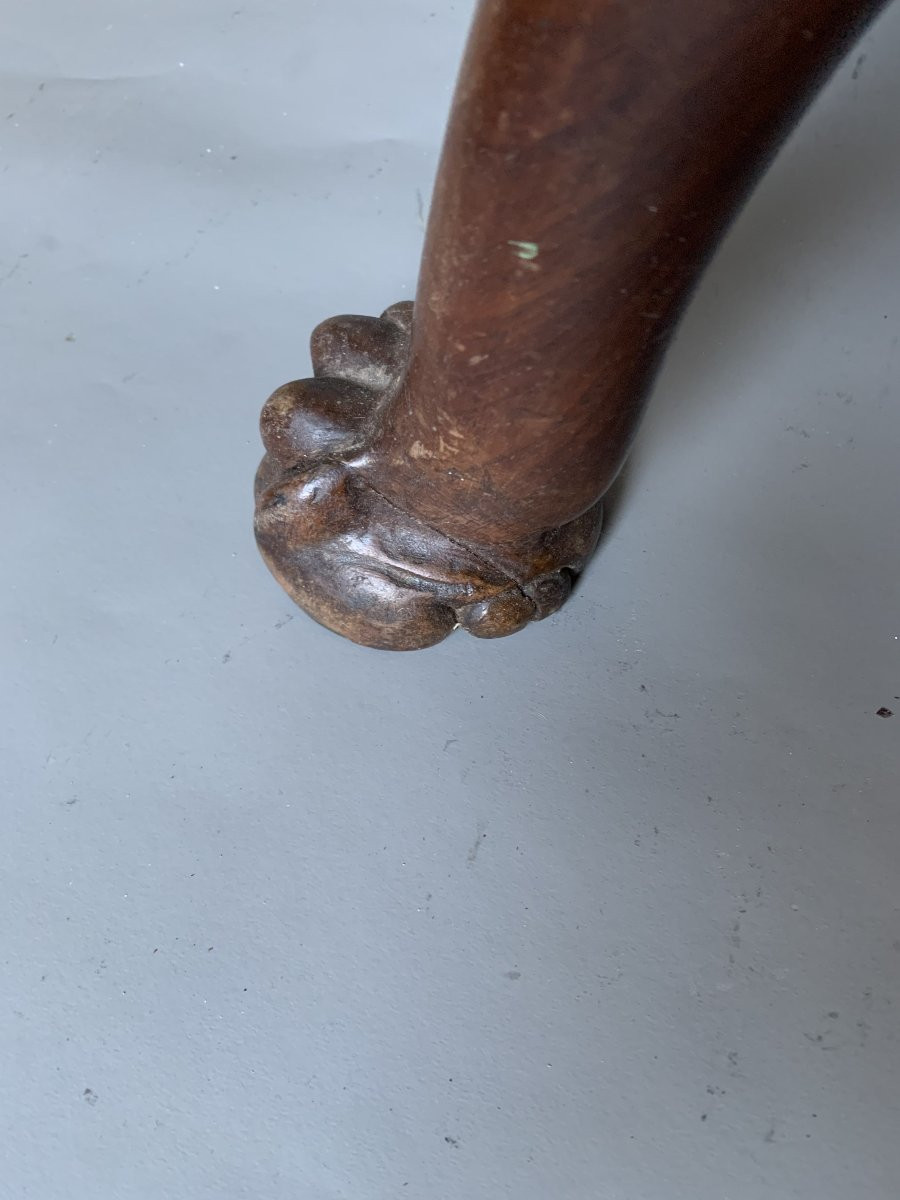 19th Century Curule Stool - Lion Paw Legs And Swan Neck Uprights-photo-1