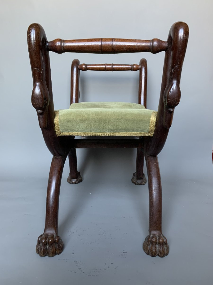 19th Century Curule Stool - Lion Paw Legs And Swan Neck Uprights-photo-2