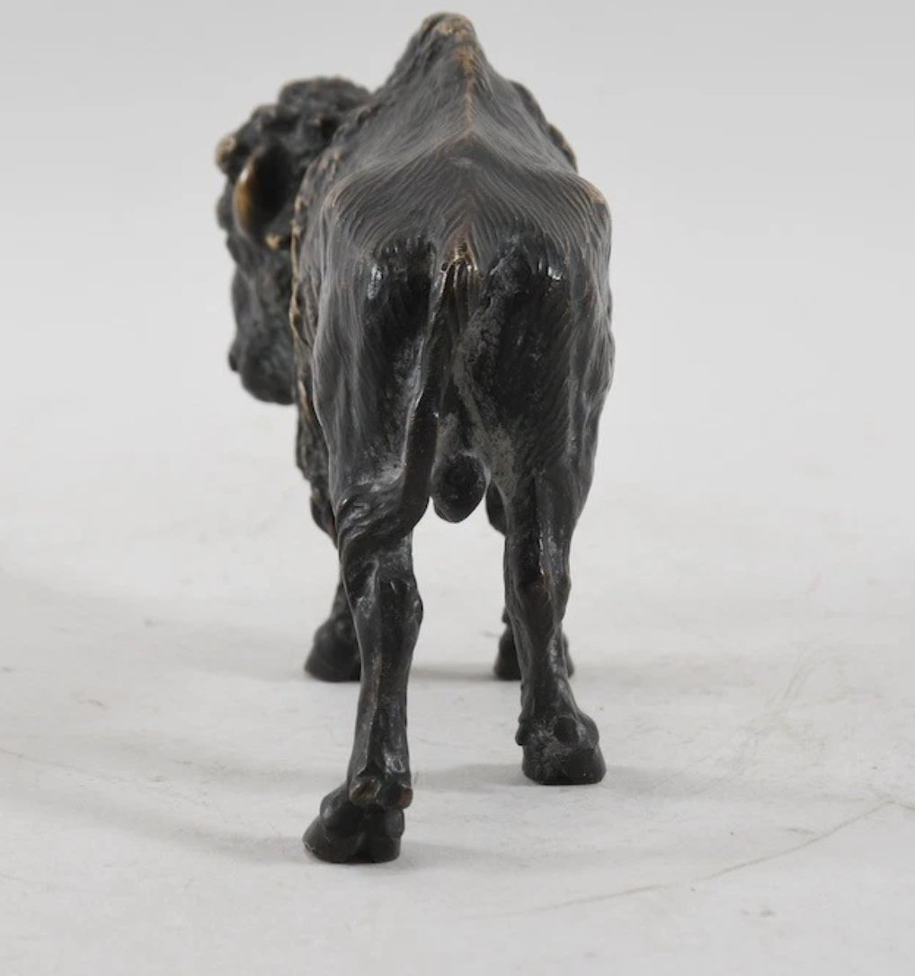 Bison en bronze – Fin XIXe / Début XXe siècle-photo-2