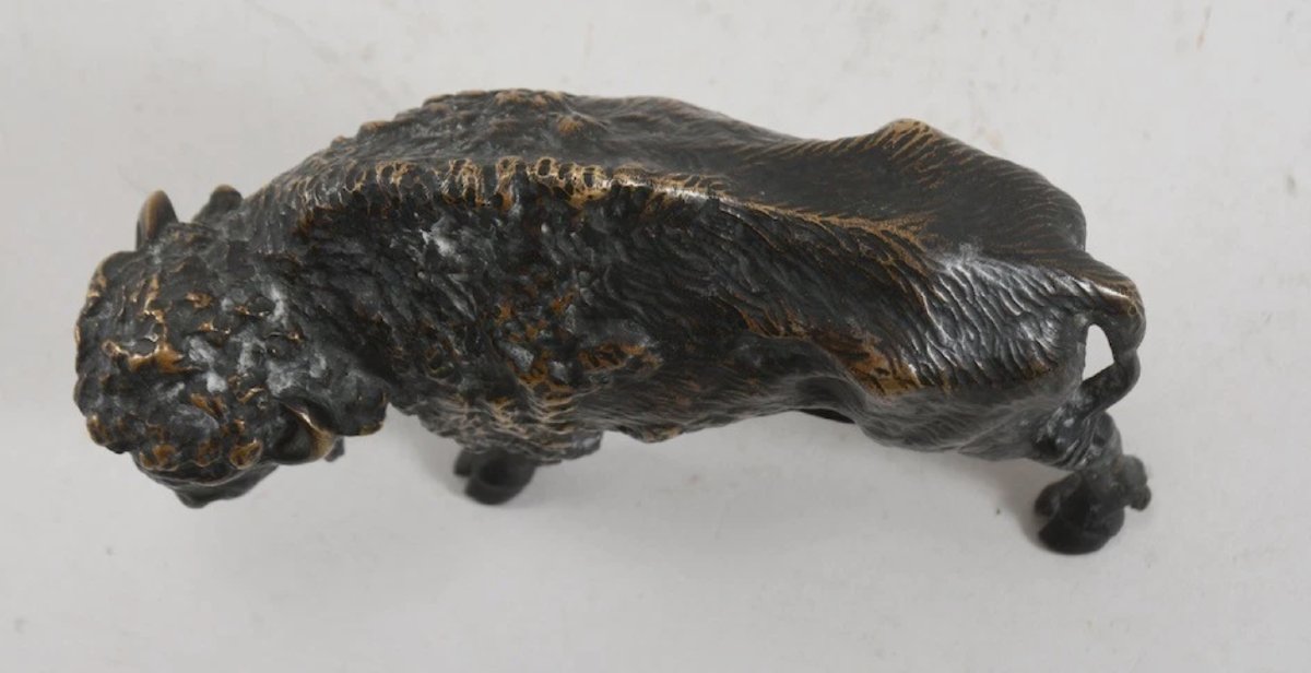 Bison en bronze – Fin XIXe / Début XXe siècle-photo-4