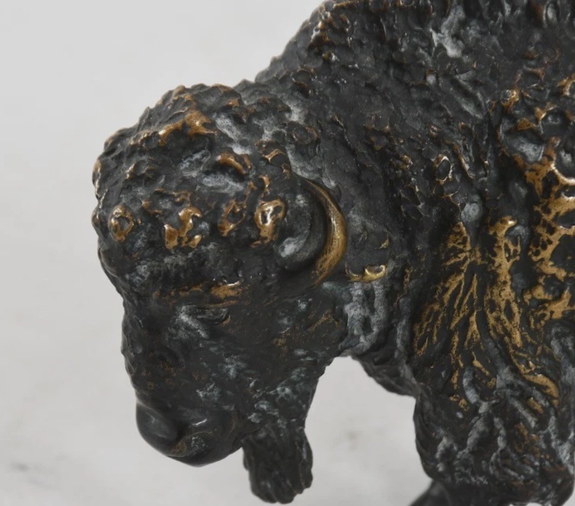 Bison en bronze – Fin XIXe / Début XXe siècle-photo-2