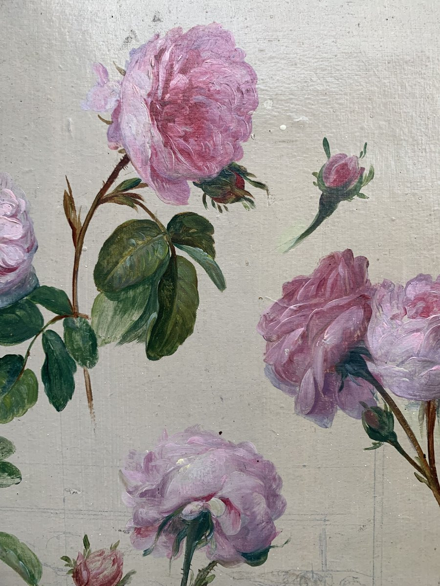 Étude de roses – Huile sur carton – Vers 1900-photo-2