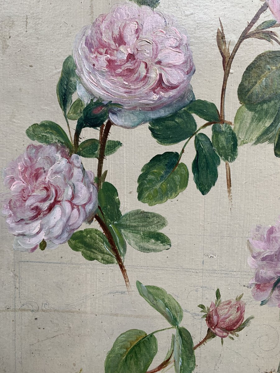 Étude de roses – Huile sur carton – Vers 1900-photo-3