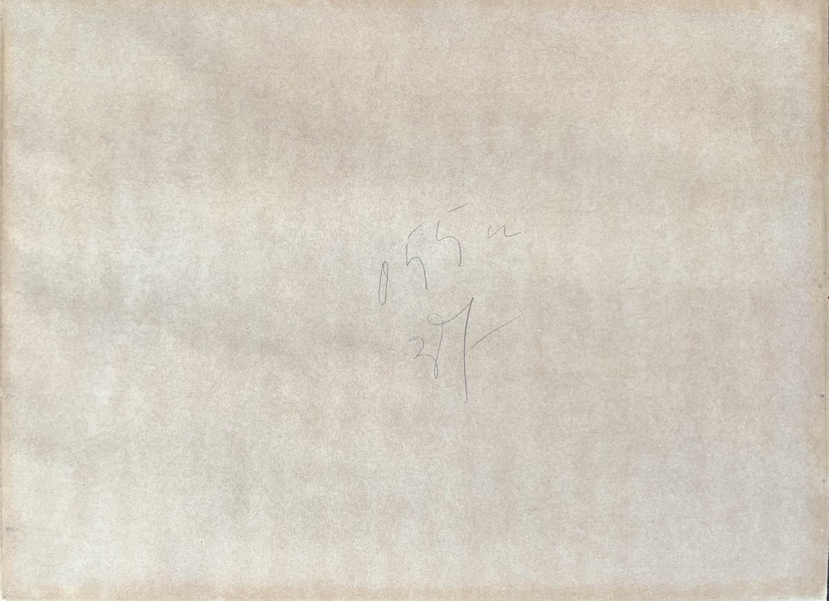 Ours polaire sur la banquise – Dessin mine de plomb et rehauts crayon blanc – Début XXᵉ siècle-photo-1