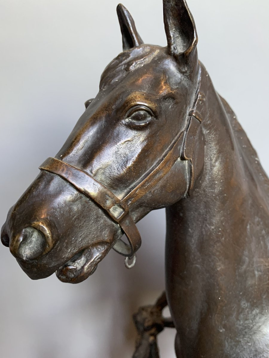 Godefroid Devreese (1861-1941)- Horse, Bronze Sculpture, Stamped H. Luppens & Cie, Brussels-photo-2