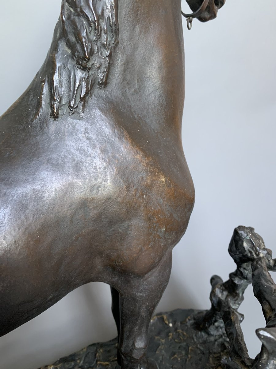 Godefroid Devreese (1861-1941)- Horse, Bronze Sculpture, Stamped H. Luppens & Cie, Brussels-photo-3