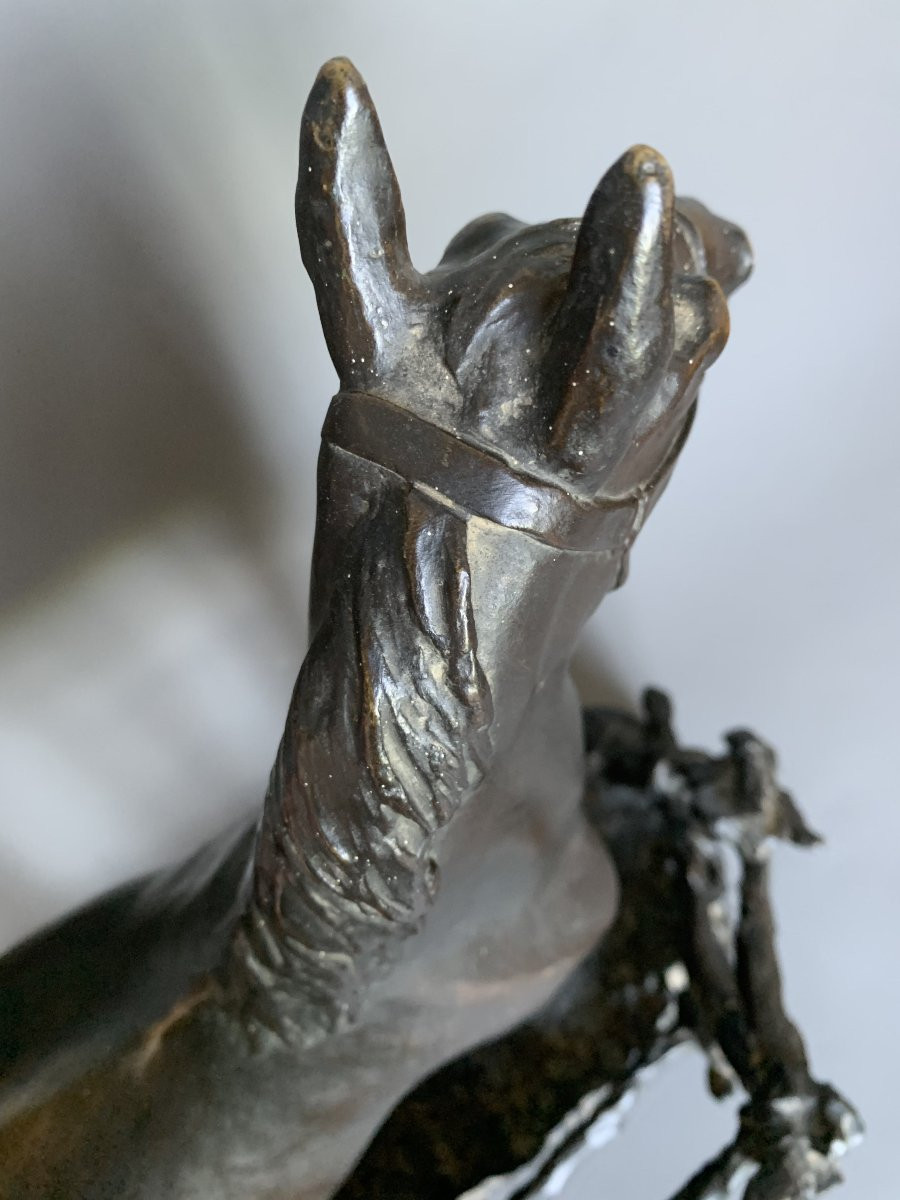 Godefroid Devreese (1861-1941)- Horse, Bronze Sculpture, Stamped H. Luppens & Cie, Brussels-photo-7