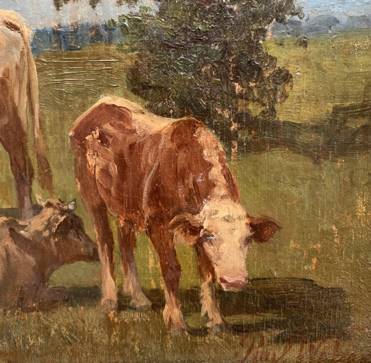 Paul Weber (1823–1916) – Herd Of Cows Grazing - Oil On Canvas-photo-3