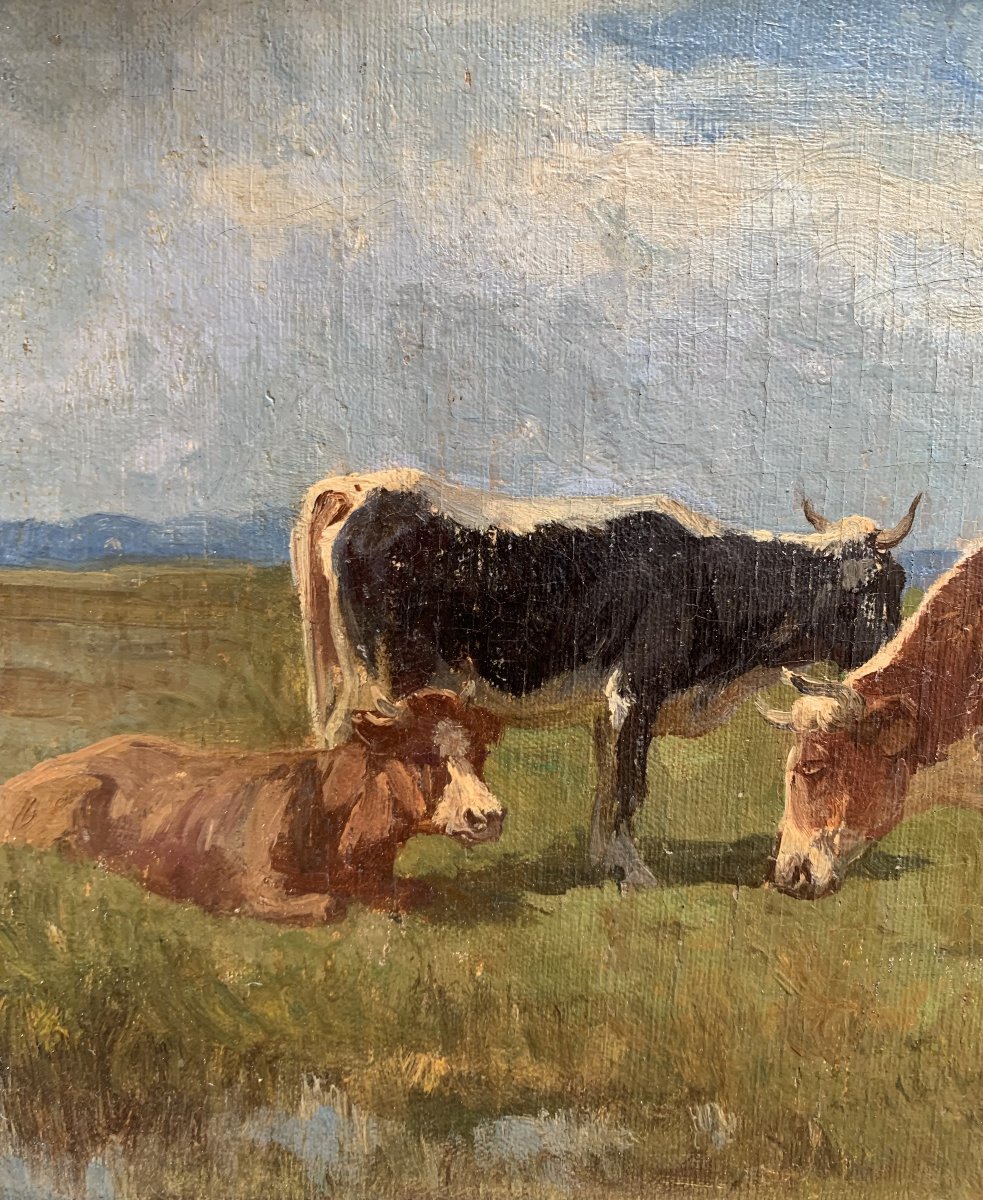 Paul Weber (1823–1916) – Herd Of Cows Grazing - Oil On Canvas-photo-4
