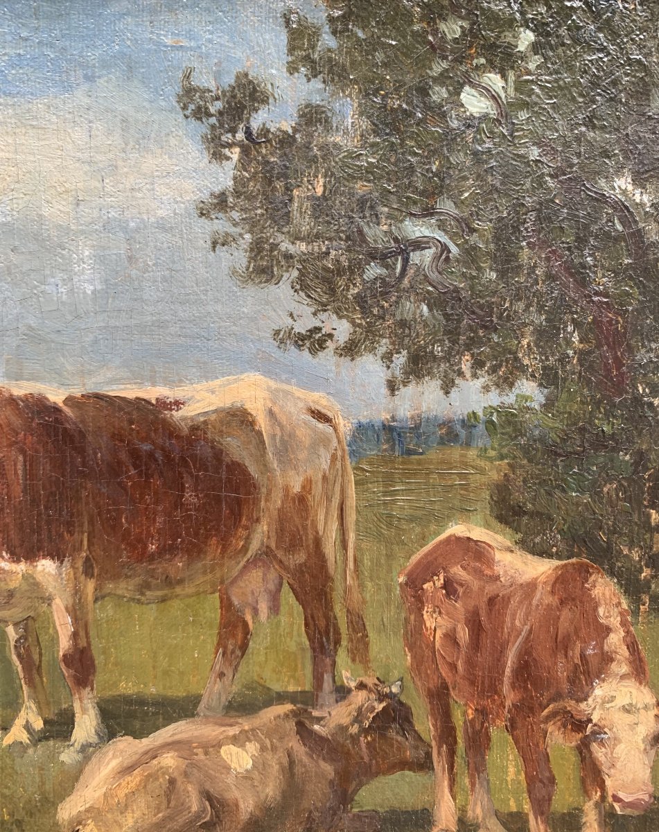 Paul Weber (1823–1916) – Herd Of Cows Grazing - Oil On Canvas-photo-1