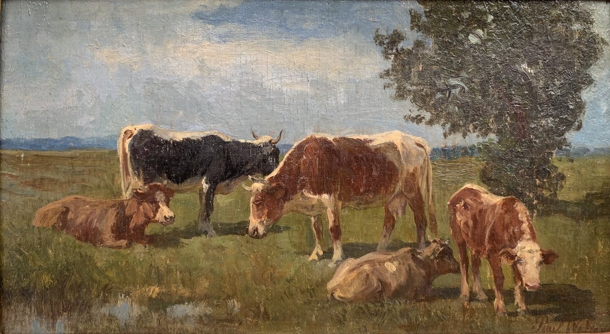 Paul Weber (1823–1916) – Herd Of Cows Grazing - Oil On Canvas