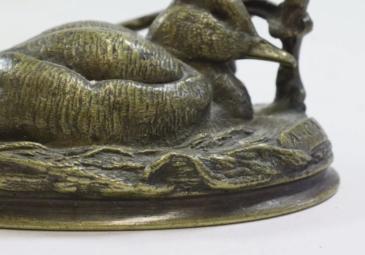 Auguste Cain (1821-1894) - Canard en bronze patiné signé  XIXe siècle-photo-3