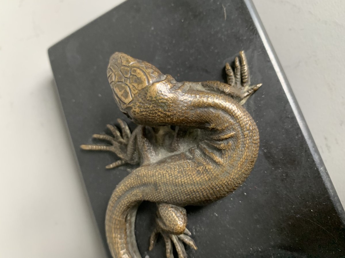Presse-papiers au lézard en bronze – Fin du XIXᵉ siècle-photo-1