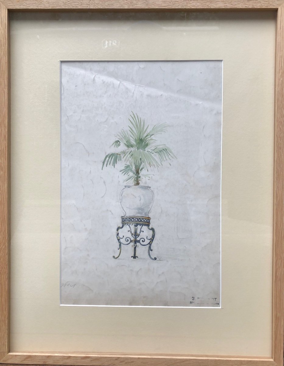 Dessin Aquarelle Fin XIXème - Encadré