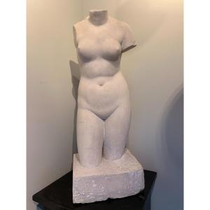 Carrara Marble Bust After Antique - Signed Joyeux - Dated 1905 - Aphrodite Of Cnidus
