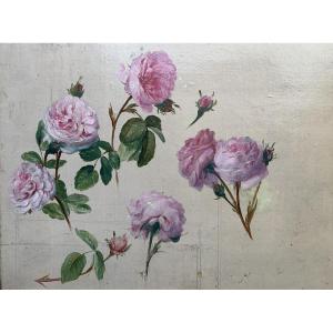 Étude de roses – Huile sur carton – Vers 1900