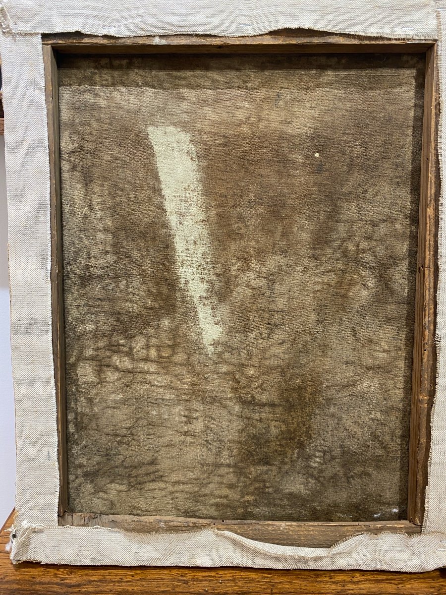 Ecole Française XIXème - Perroquet Ara Bleu - Huile Sur Toile-photo-4