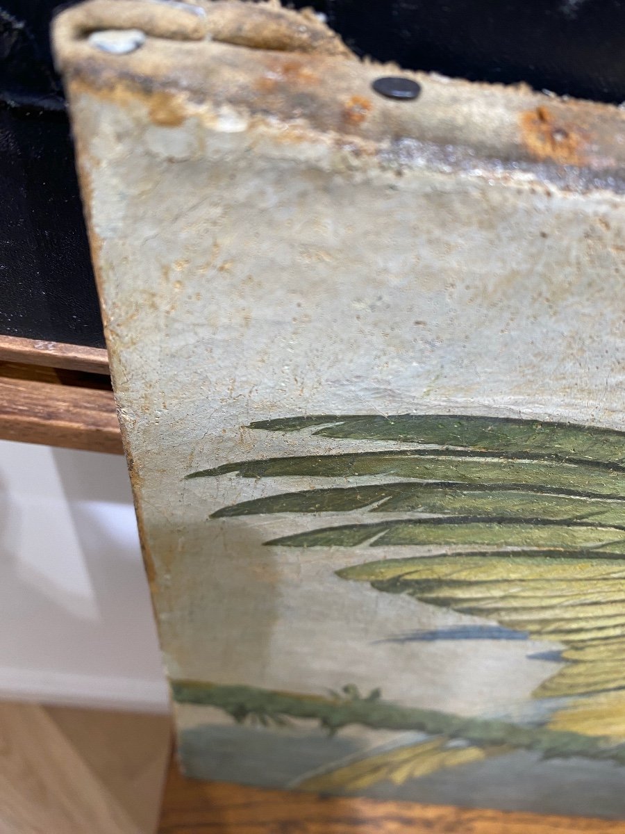 Ecole Française XIXème - Perroquet Ara Bleu - Huile Sur Toile-photo-1