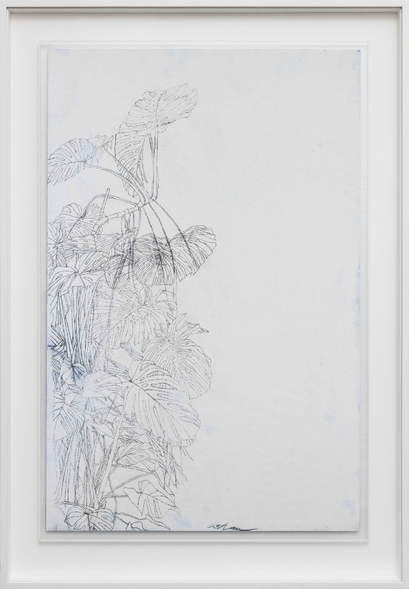 Sam SZAFRAN - Philodendron 1974 - Dessin -photo-2