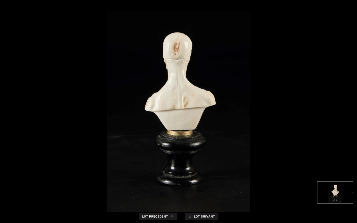 Buste d'homme écorché Crâne -photo-2