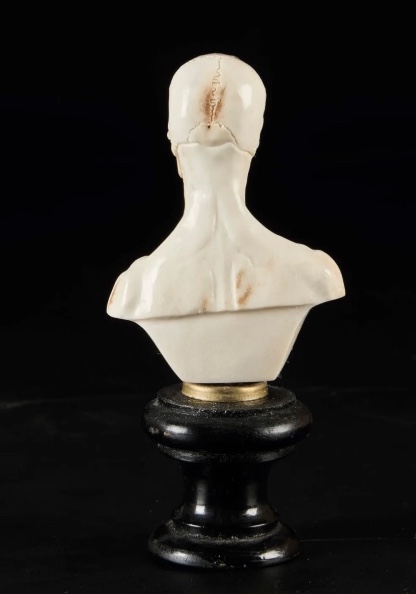 Buste d'homme écorché Crâne -photo-2