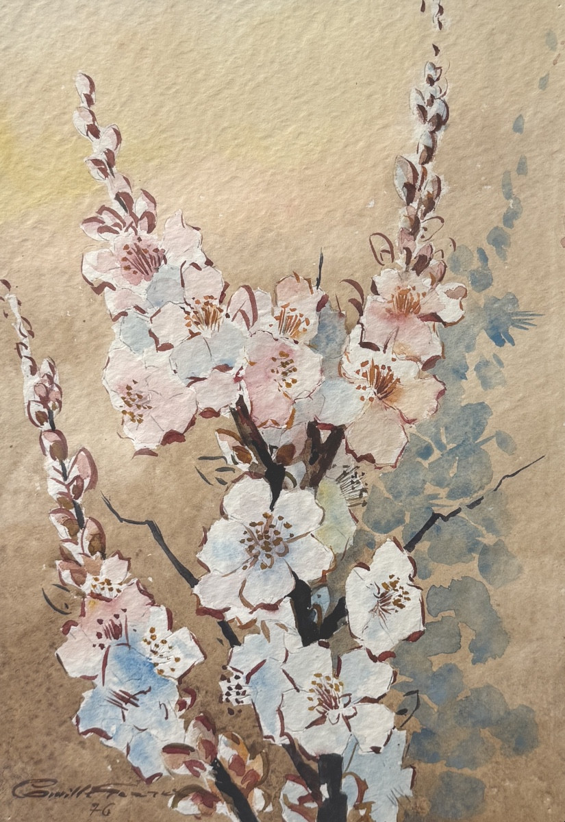 Camille Ferrer - Fleurs de cerisier - Aquarelle