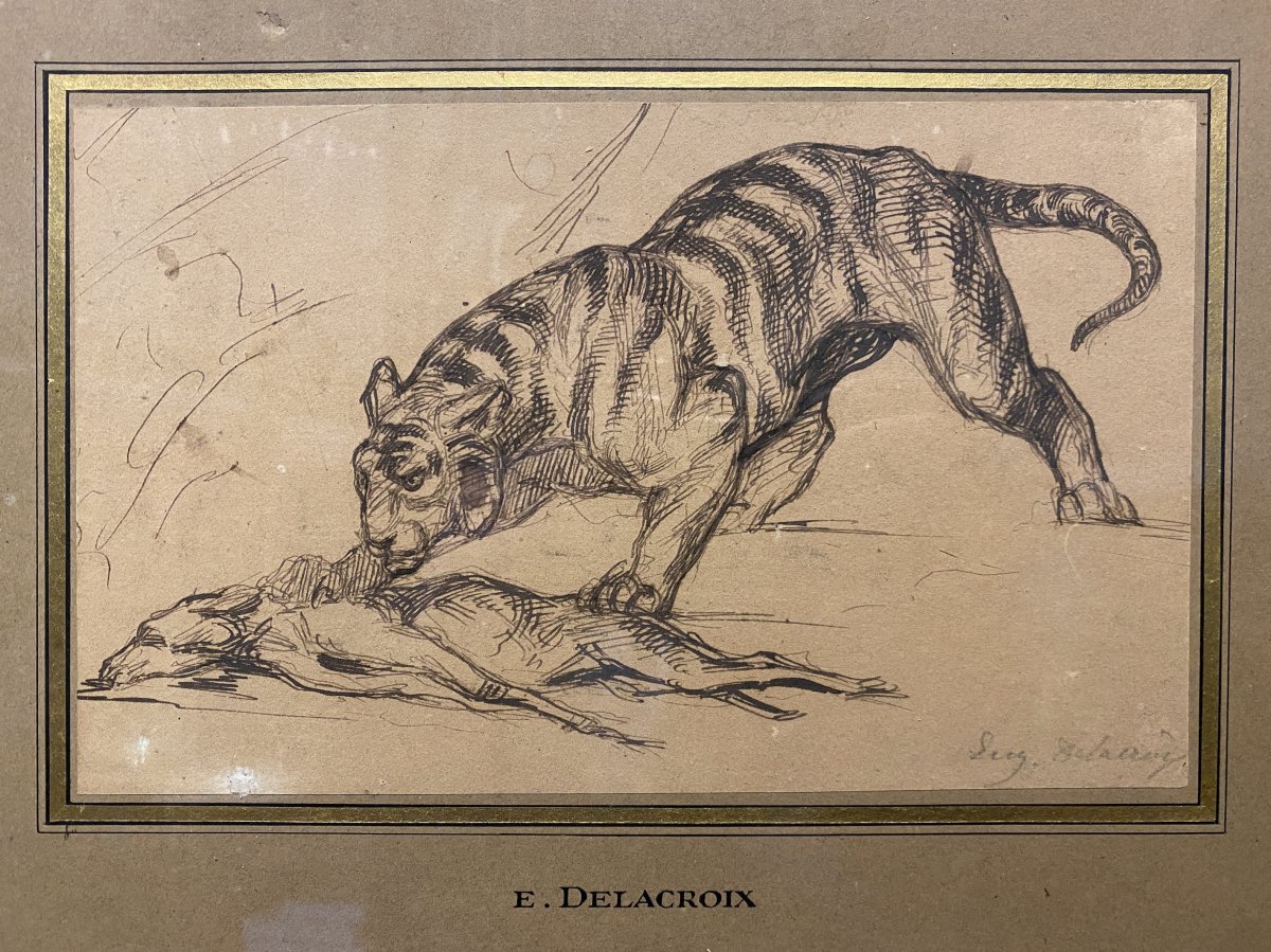 Eugène Delacroix (attribué à) - Dessin à La Plume - Etude De Tigre -photo-2
