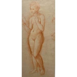 Attributed To Henri Fantin-latour - Study Of Nude - Sanguine