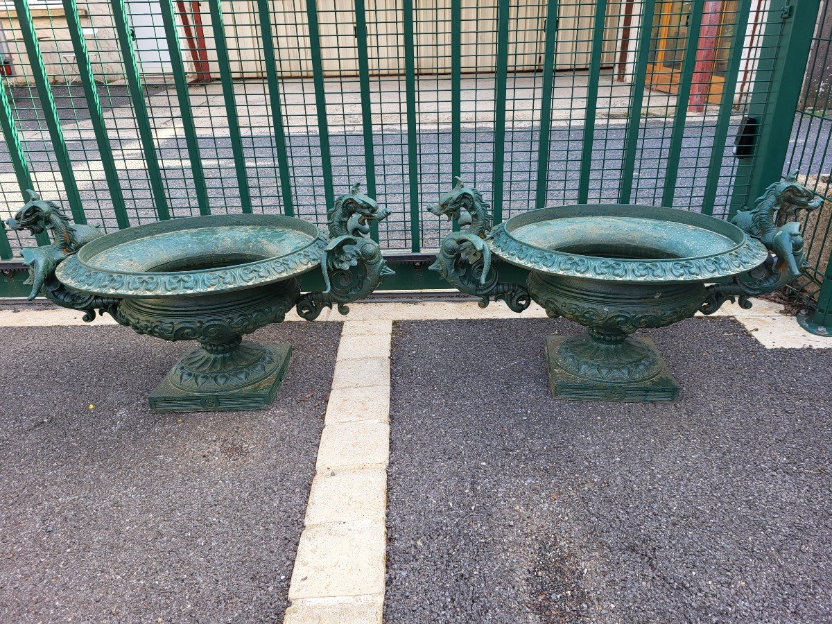 Pair Of Large Cast Iron Medici Basins With Dragon Decor Late 19th Century