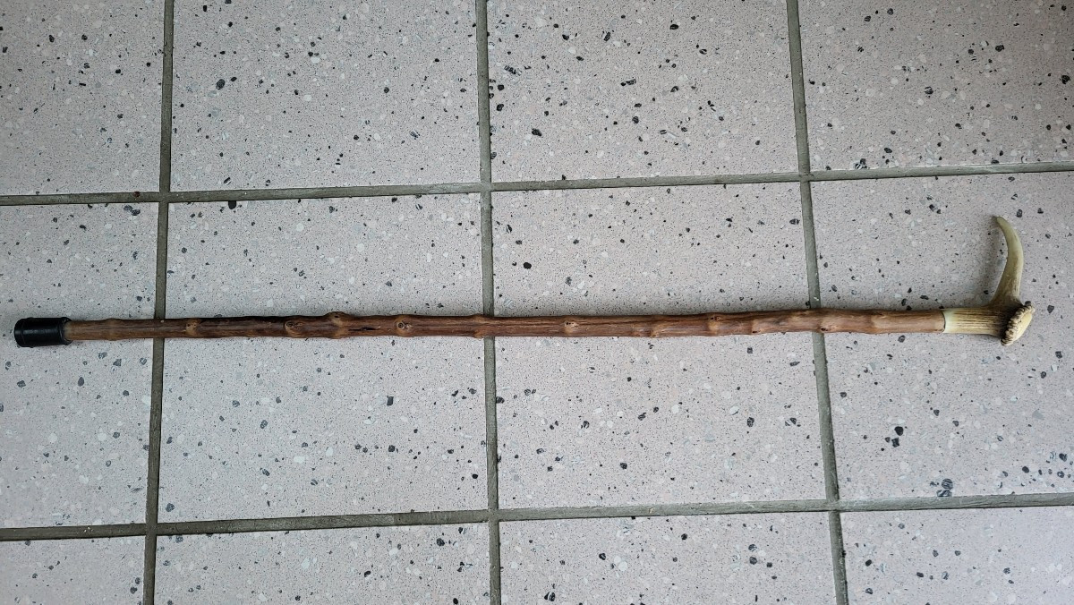 Canne De Marche Ancienne Pommeau En Bois De Cerf XIXème 