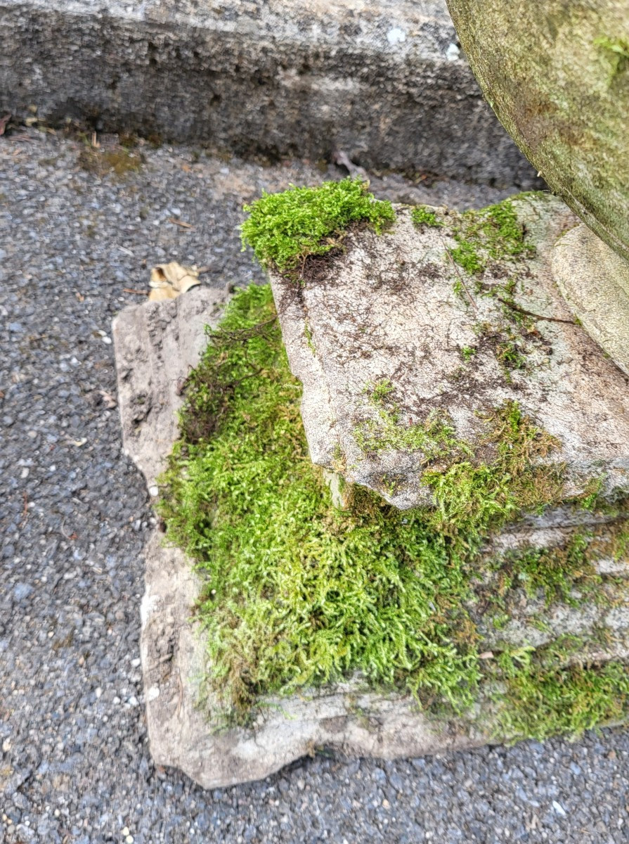 Planter With Shower Base, Natural Stone-photo-2