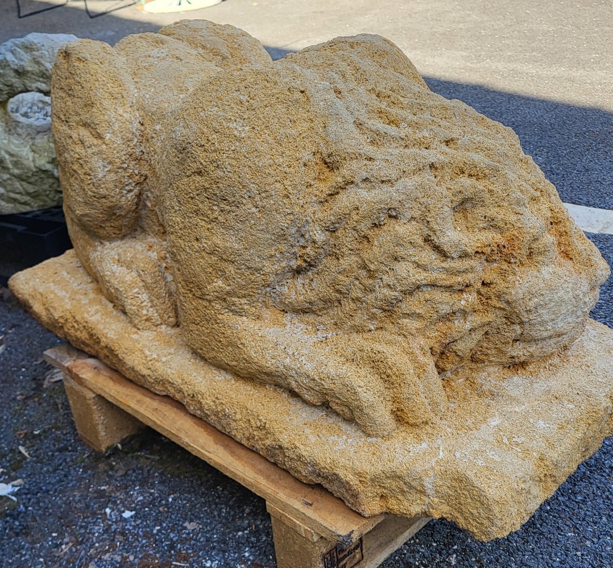 Statue de lion en pierre naturelle du Gard-photo-2