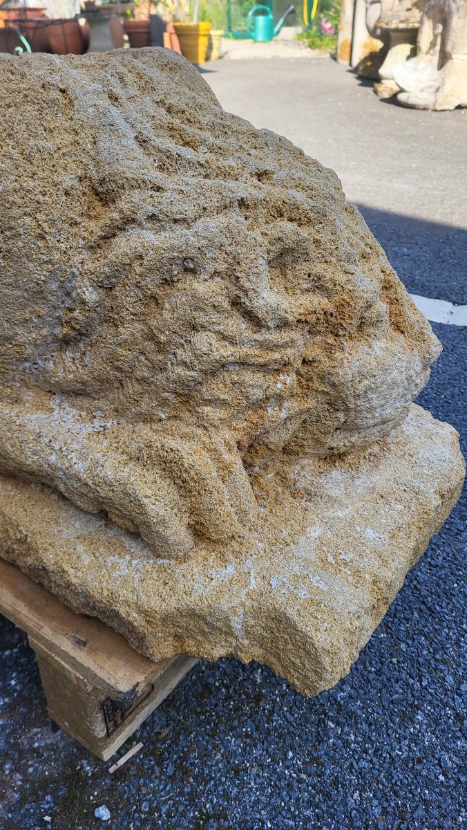 Statue de lion en pierre naturelle du Gard-photo-3