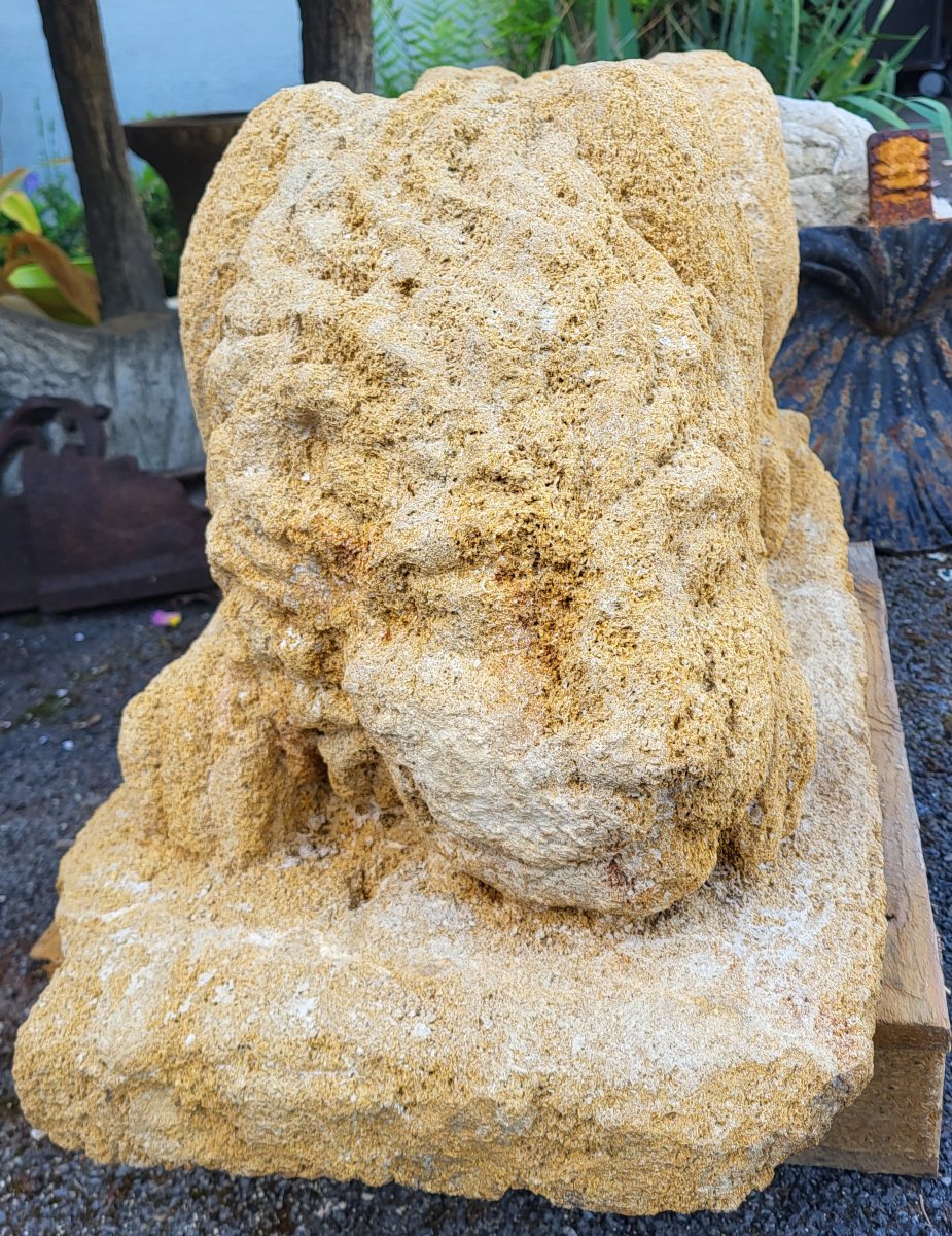 Statue de lion en pierre naturelle du Gard-photo-4