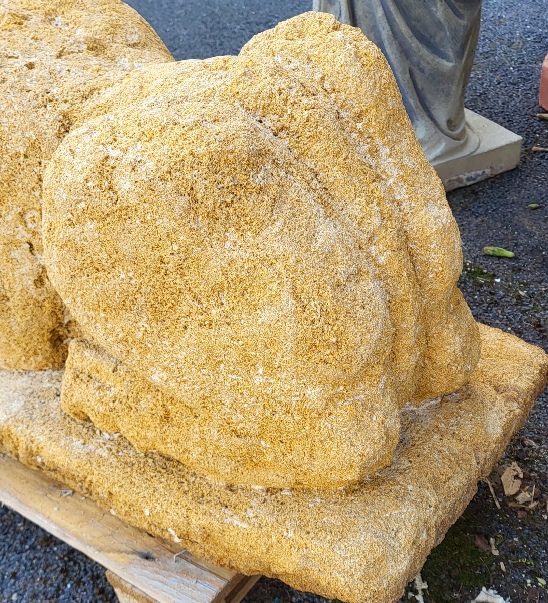 Statue de lion en pierre naturelle du Gard-photo-2