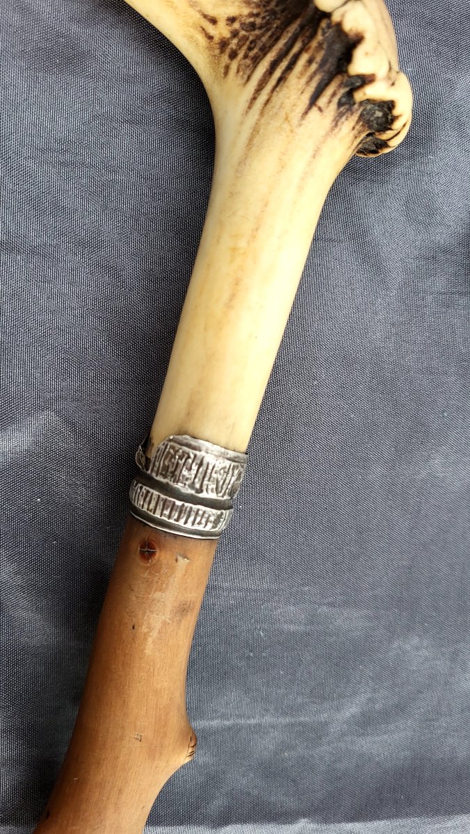Antique 19th-century Boxwood Cane With A Silver Ferrule And A Stag-horn Knob-photo-4