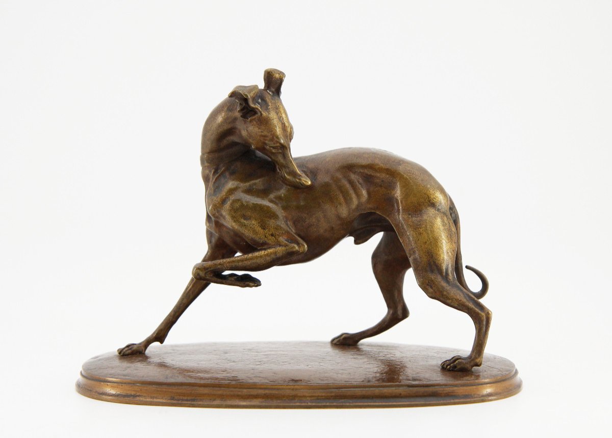 d'après Alfred BARYE (1839-1882), lévrier à la patte levée, épreuve en bronze non signée-photo-2