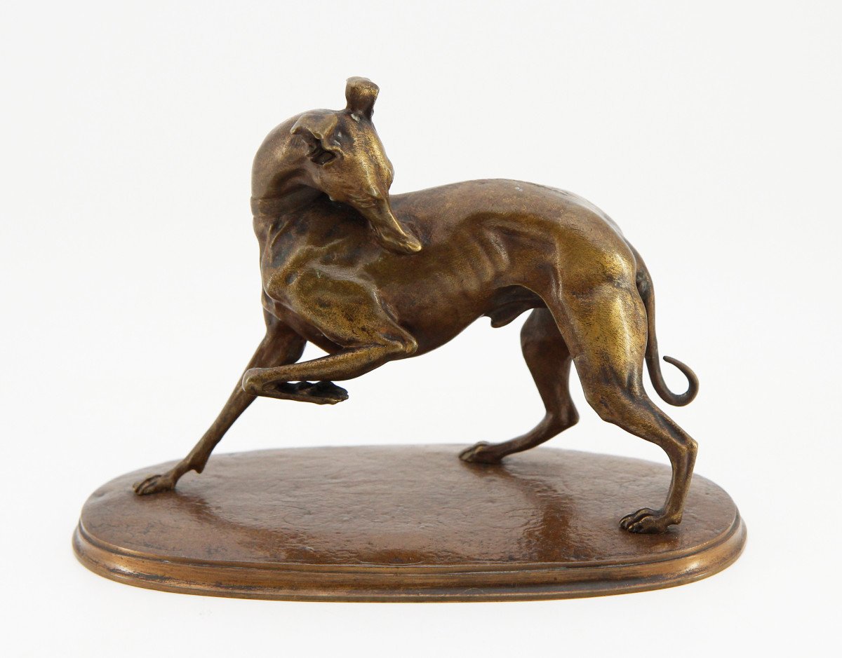 d'après Alfred BARYE (1839-1882), lévrier à la patte levée, épreuve en bronze non signée
