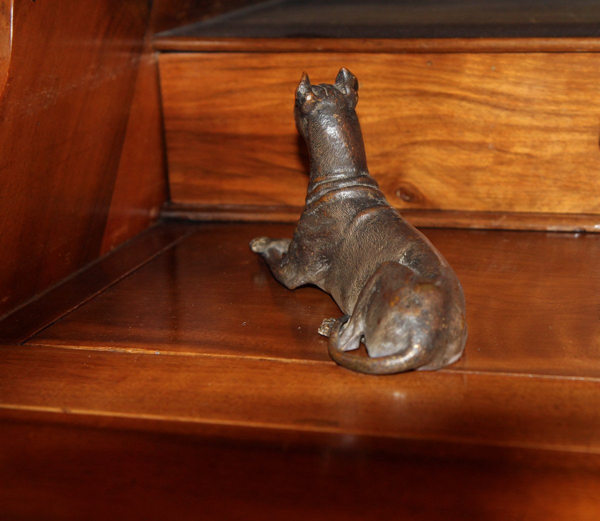 Franz Xaver Bergmann (1861-1936) - Chien couché - Grand bronze de Vienne, vers 1900-photo-1