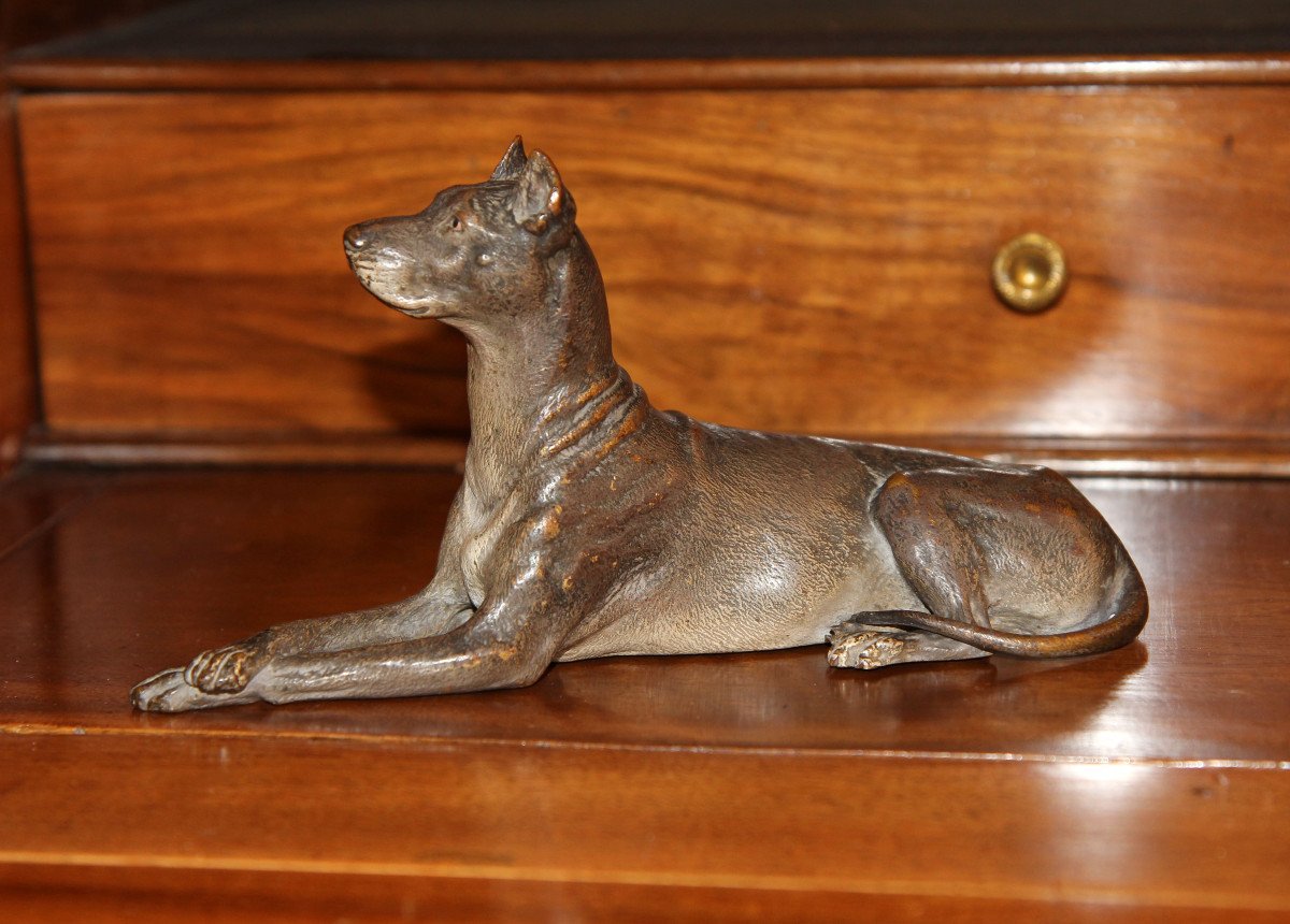 Franz Xaver Bergmann (1861-1936) - Chien couché - Grand bronze de Vienne, vers 1900