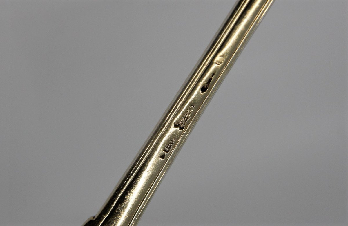 Service Spoon In Vermeil, L.-j. Anthiaume, Paris 1780-1782, Family Crest Of The Johnstone Clan-photo-2