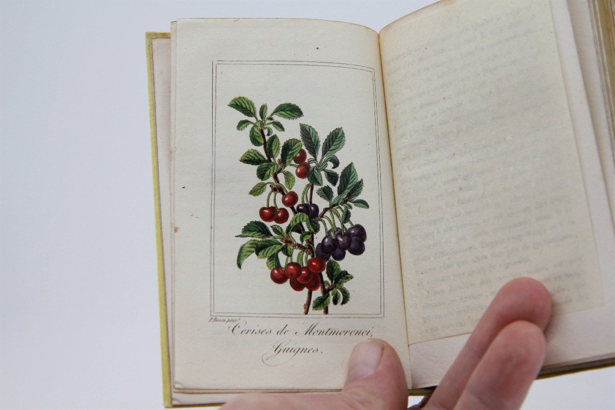 La Corbeille de Fruits par Charles Malo, planches rehaussées, Paris 1818 - rare-photo-1