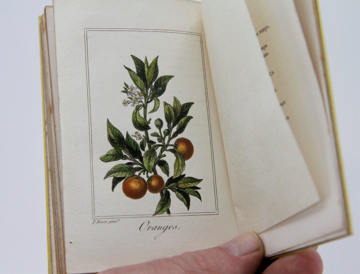 La Corbeille de Fruits par Charles Malo, planches rehaussées, Paris 1818 - rare