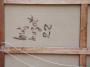 1375680-alb-669a6835cc790.jpg