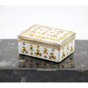 Saxon Enamel Snuffbox Embellished With Gold By Fromery, Mounted In Vermeil In Paris (1738–1744)
