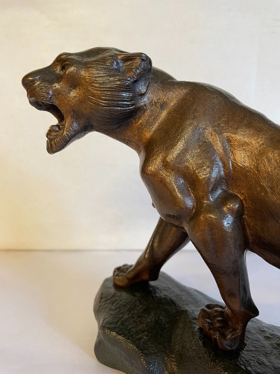 Roaring Tiger T.cartier 25x17-photo-4