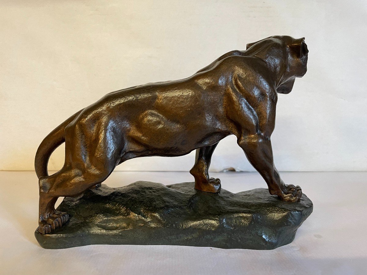 Roaring Tiger T.cartier 25x17-photo-1