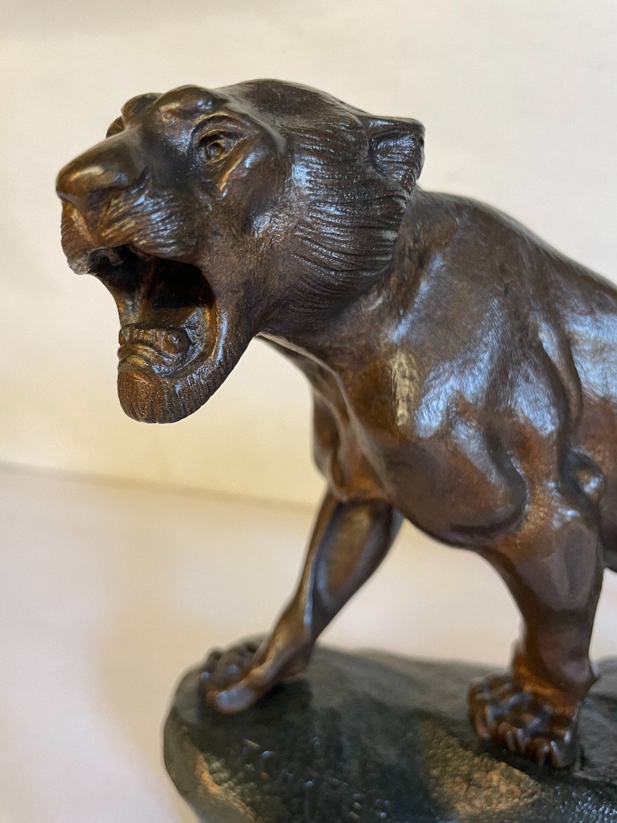 Roaring Tiger T.cartier 25x17-photo-3