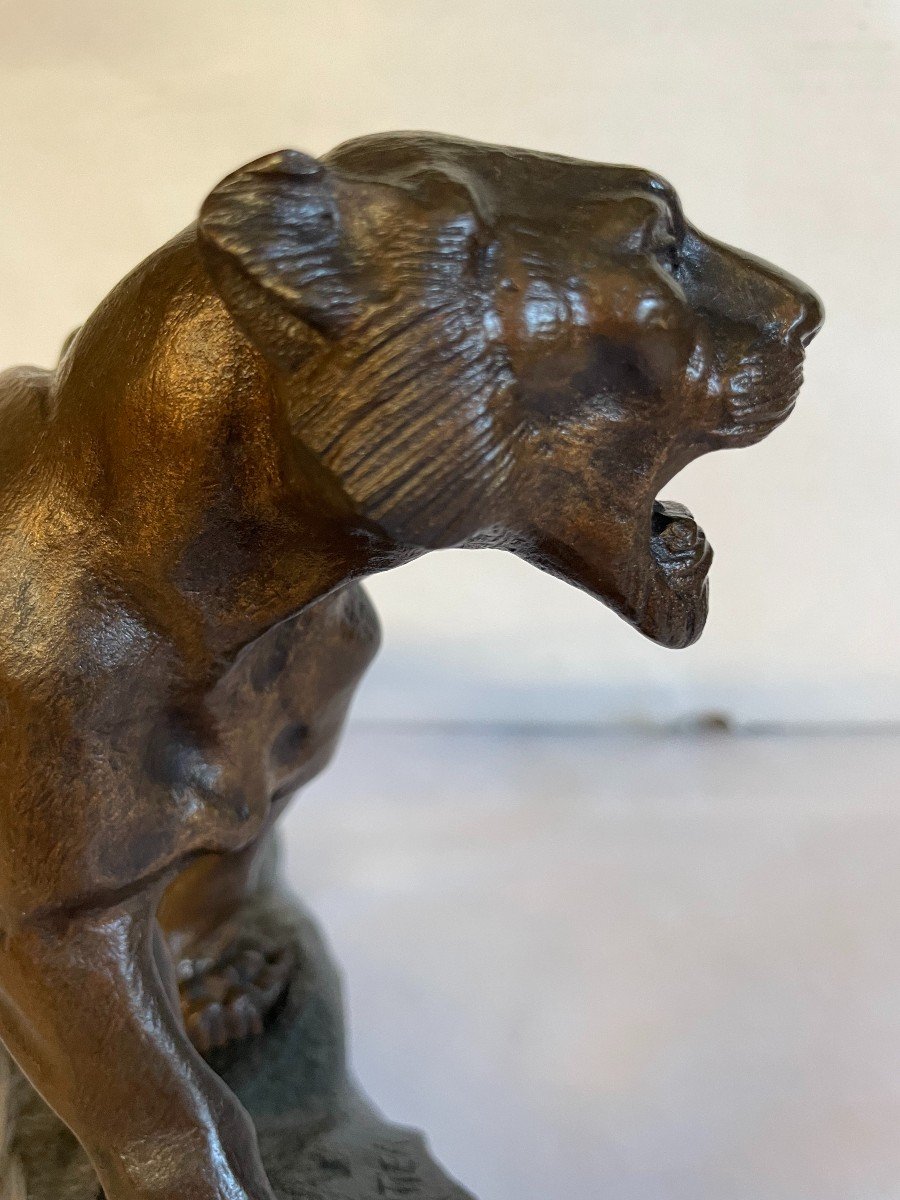 Roaring Tiger T.cartier 25x17-photo-4