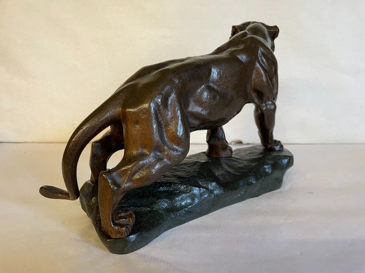 Roaring Tiger T.cartier 25x17-photo-5